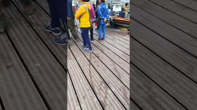 Работа в Корее на море смотреть онлайн