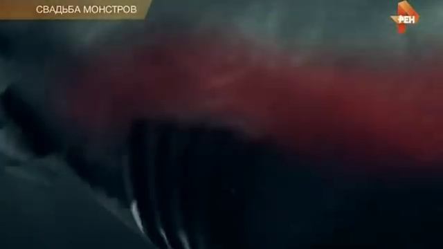 Обнаружены существа которые не похожи ни на что. Эти факты замалчиваются и зас .екре чиваются. смотреть онлайн