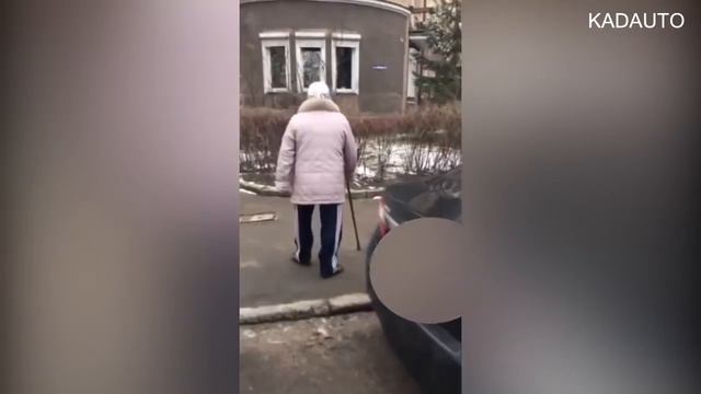 Инцидент возле зоопарка в Калининграде 15 02 18 смотреть онлайн