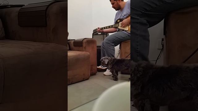 Earthquaker Devices Ghost Echo + Fender Pro Jr III Amp + Gibson LP (Classic 57 pickups) смотреть онлайн