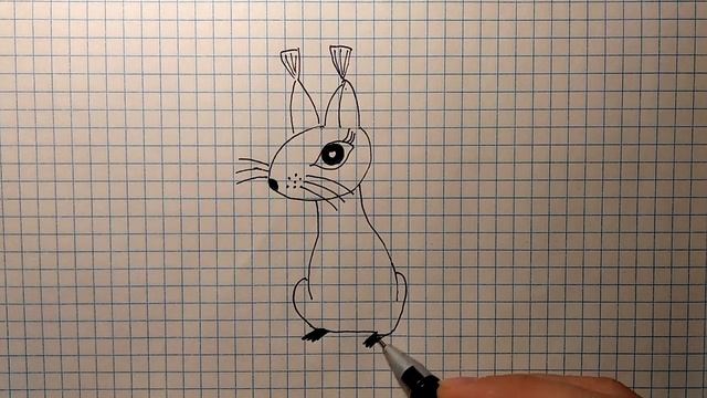 Как нарисовать БЕЛКУ / Простые рисунки для детей и начинающих смотреть онлайн