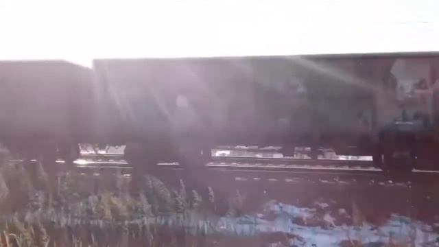 Торопливый. 3ЭС5К-576 "Ермак" с грузовым поездом следует на разъезд 13 км смотреть онлайн