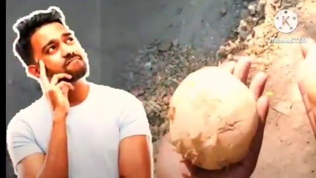 বাংলার আলুর বর্তমান পরিস্থিতি I Current Situation of Potatoes in Bengal -India Potato News 05/11/23 смотреть онлайн