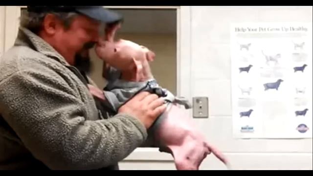 Реакция щенка, встретившего своего спасателя, неописуема... смотреть онлайн