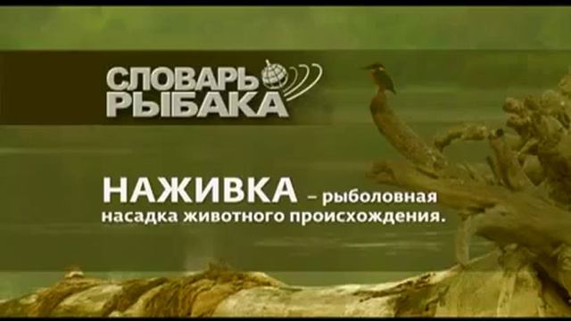 Видеопособие для рыбака 23 смотреть онлайн