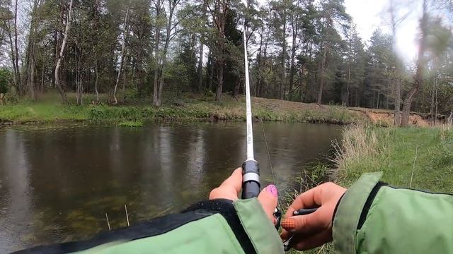 ПО РЕКЕ СО СПИННИНГОМ. Рыбалка в ГЛУХОМ МЕСТЕ. ОТКУДА ЗДЕСЬ ХАРИУС? #177 смотреть онлайн