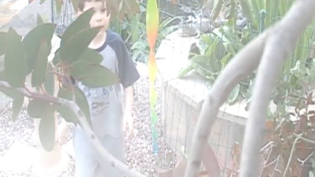 Josh in the Garden - 27 July 2004 смотреть онлайн