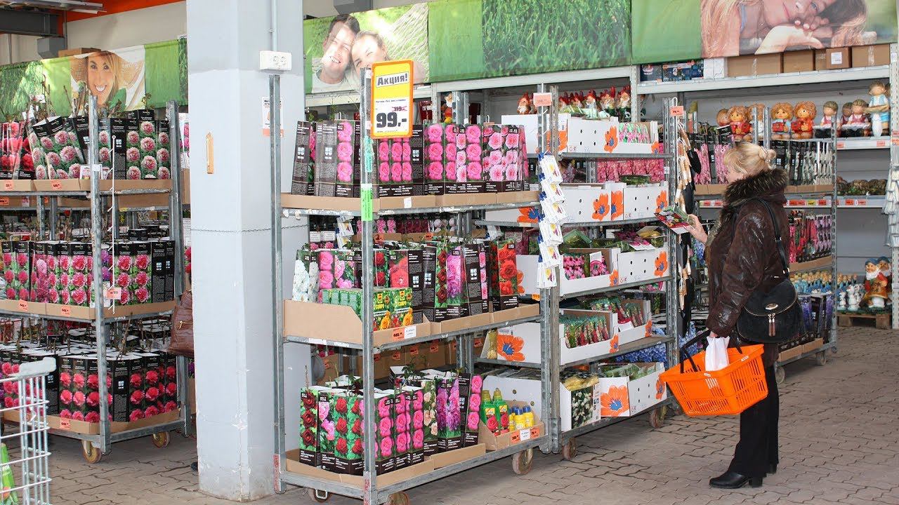 Смело покупайте! Эти растения цветут в первый год смотреть онлайн