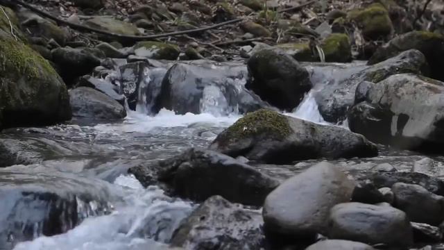 Обзор канала Алла Ковальчук