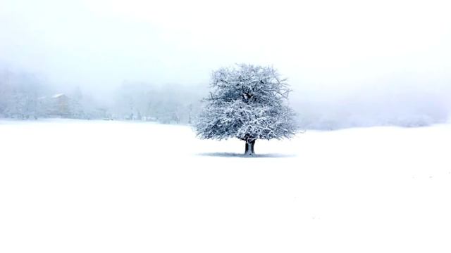 Общество потребления смотреть онлайн