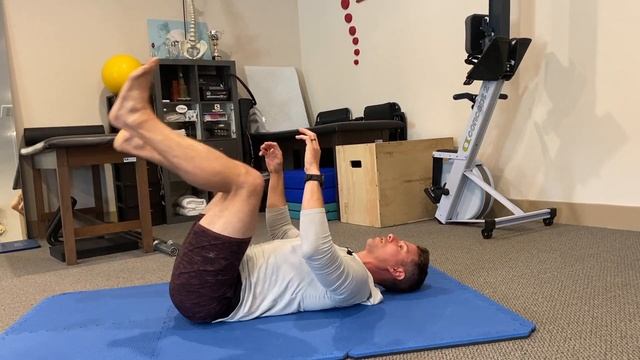 DNS 3-month to 6-month Supine (Dynamic Neuromuscular Stabilization) смотреть онлайн