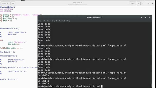 Perl4 - Loops смотреть онлайн