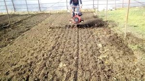 вспашка дизельным мотоблоком Хопёр 9 л.с. фреза 2,8 метра