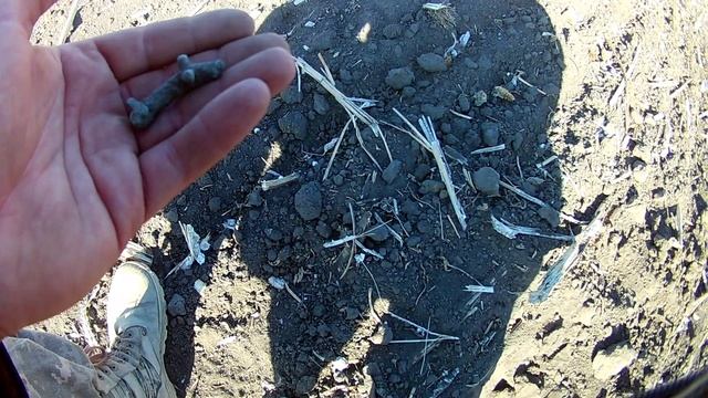 Коп как он есть. По новым местам с Minelab X terra 705.#коп 2020. смотреть онлайн