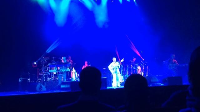 Дидюля - Арабика / Didula - Arabica