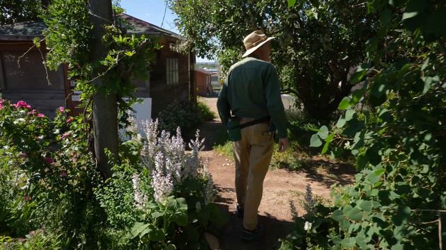 Xeriscape Garden Tour with Drought Tolerant Plants by Mikl Brawner of Harlequin's Gardens смотреть онлайн