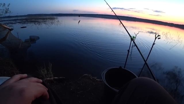 Вторая Рыбалка на Чесночные Пуфики! Рыбалка с Ночевкой на Чигиринском Водохранилище. Лещ на Фидер. смотреть онлайн