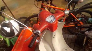 Мини обзор Honda Giorno .
