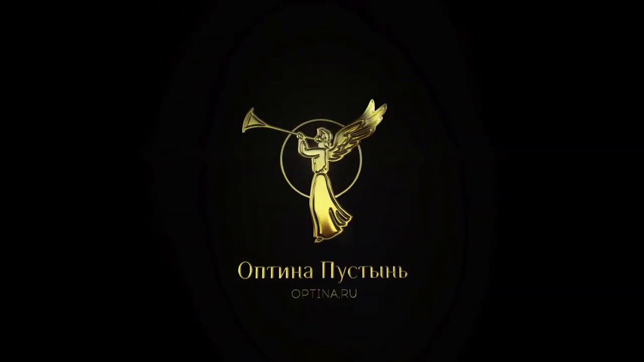 Учащиеся и сотрудники Московского энергетического института в Оптиной пустыни смотреть онлайн