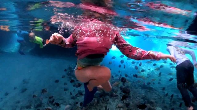 Swimming Deep In The Ocean Caves In The Bahamas