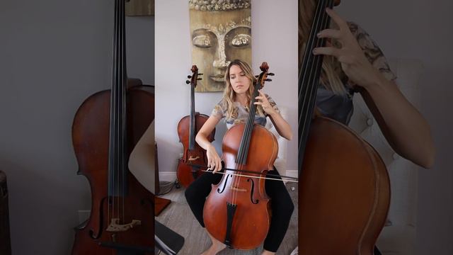 Corelli Violin Sonata op. 5 no. 5 in G minor, IV. Vivace (bassline on baroque cello) смотреть онлайн