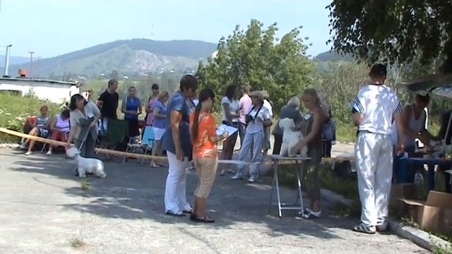 Златоуст смотреть онлайн