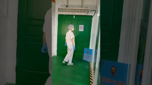 New product release#food protective clothing#protective suit смотреть онлайн