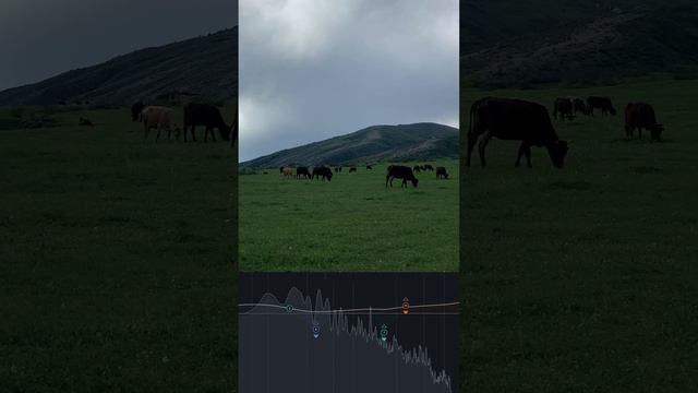 Anton Mikhailov - Devastation смотреть онлайн