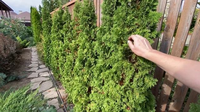 САД ДУШИ И СЕРДЦА?В гостях у сестры Ирины?#волгоград #садыРоссии#хобби #растения # смотреть онлайн