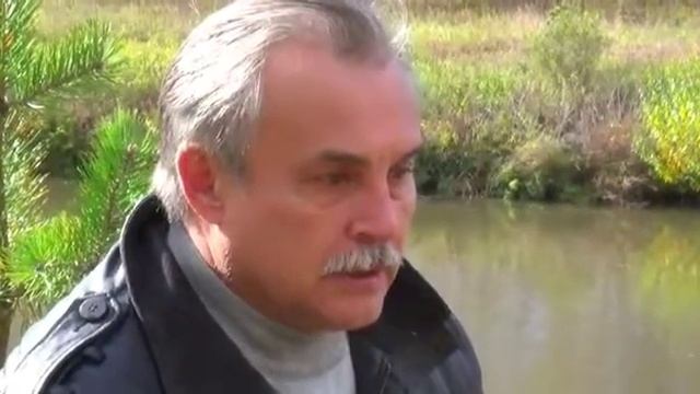 7 ноября 2019 г. смотреть онлайн