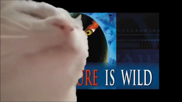 ДИКИЙ МИР БУДУЩЕГО МУЗЫКА смотреть онлайн