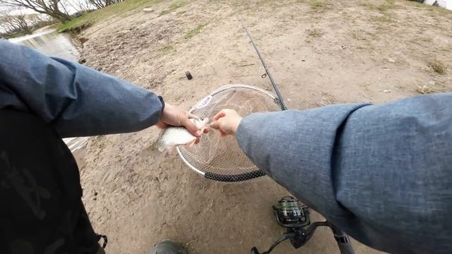 Минское море! Ловля карася весной. Прикормка на карася с чесноком. ТАК ВОТ ОТ ЧЕГО Карась ДУРЕЕТ! смотреть онлайн