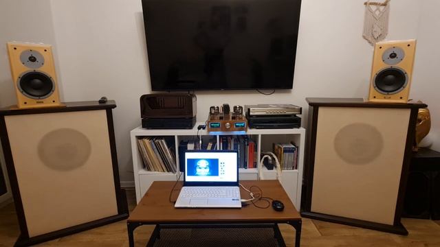 Юбилейные Dynaudio Special Twenty-Five 25 с ламповым однотактом и ЦАПом Chord Mojo 2