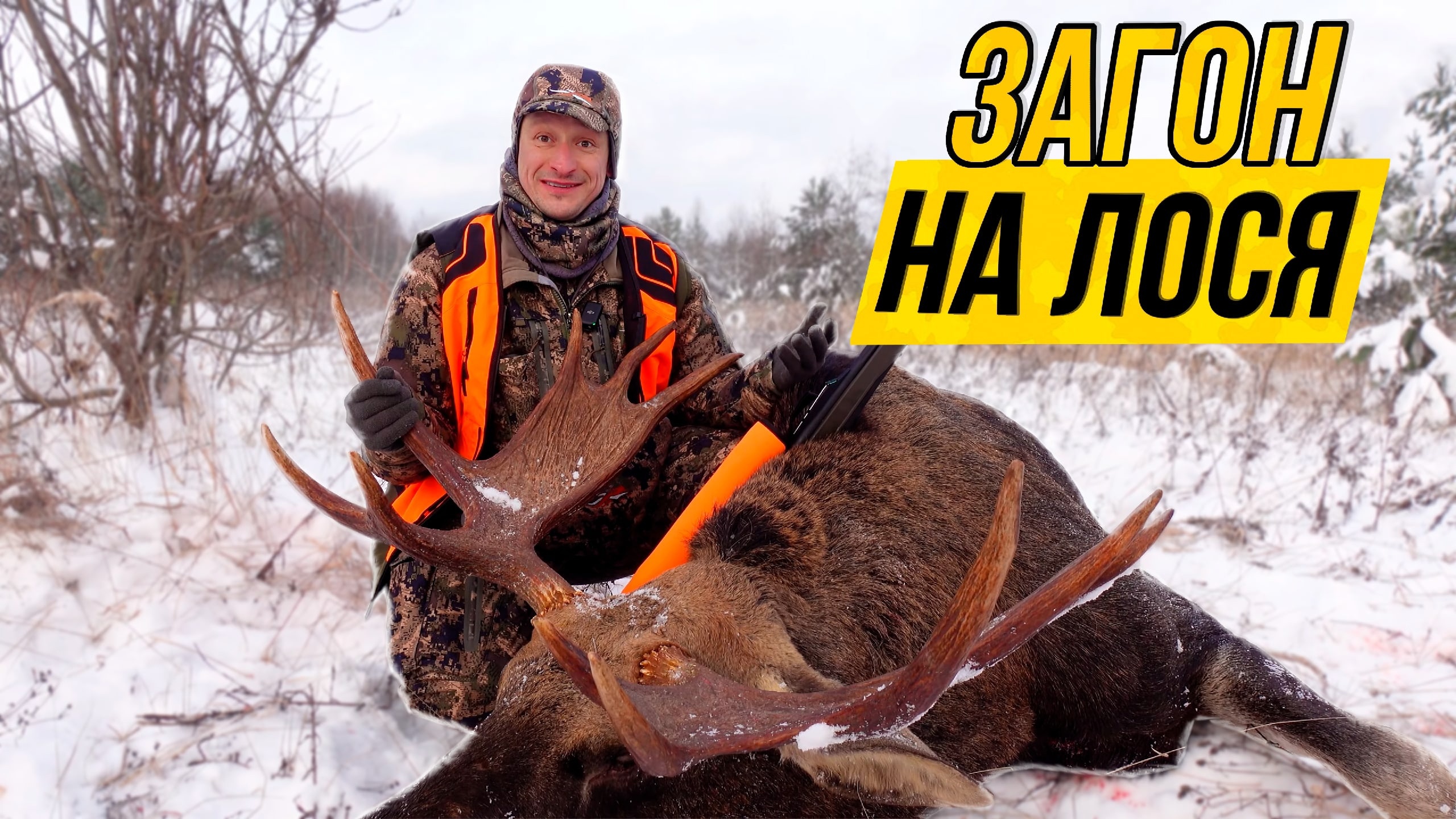 ОХОТАна ЛОСЯ загоном / Выстрел / Трофейные рога / Загонная охота смотреть онлайн
