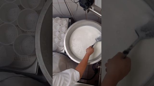 Варим адыгейский сыр Ч.1 смотреть онлайн