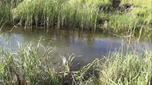 Рыбалка в Камагане | Куртамыш смотреть онлайн