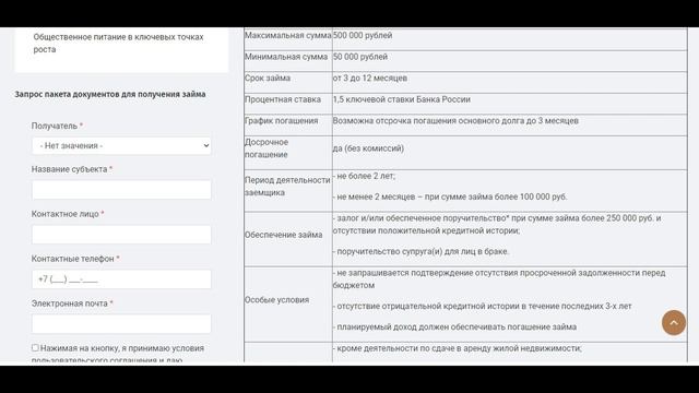 Государственный микро кредит самозанятым гражданам. Гос.Поддержка самозанятых в регионах РФ. смотреть онлайн