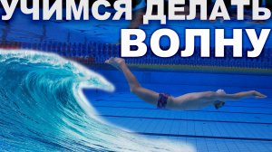 Техника плавания дельфином | С чего начать учиться плавать баттерфляем?