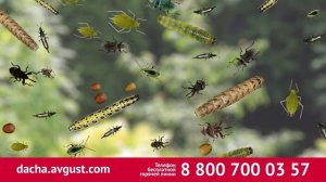 Батрайдер - умный инсектицид для всего сада