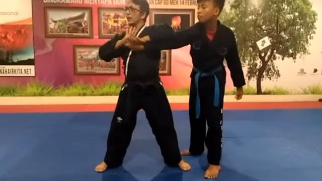 Hoshinsul sabuk Hijau Hapkido Indonesia, WHMAF. смотреть онлайн