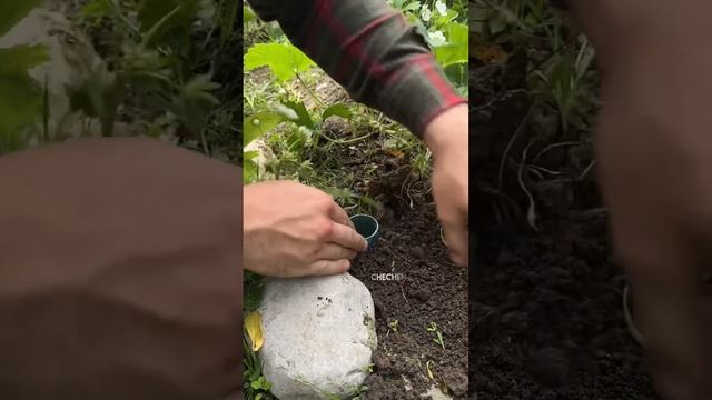 Тайник из камня для дачи #лайфхаки смотреть онлайн