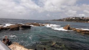 АКУЛЫ В СИДНЕЕ. Пляж COOGEE. АВСТРАЛИЯ