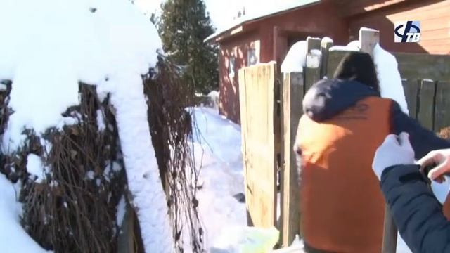 Волонтёры помогали пенсионерам чистить снег смотреть онлайн