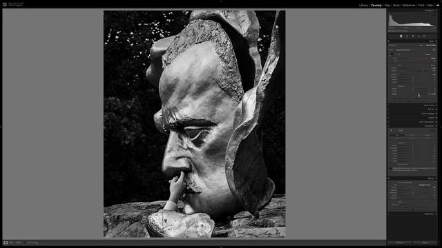 How Do I Use Topaz Photo AI - Upscaling A Photograph.