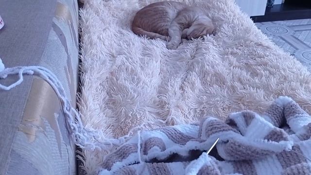 Мои дела. Снова не хватит пряжи? Архив от 12.02.2023г. смотреть онлайн