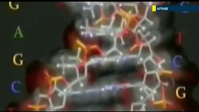 Ученые наконец доказали - Бог существует смотреть онлайн