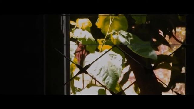Fujifilm S2980 (video test cinematic) смотреть онлайн
