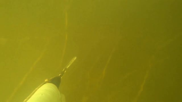 Дневная охота на нижней Волге! смотреть онлайн