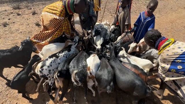 Два месяца в пустыне Туркана. Как это было. смотреть онлайн