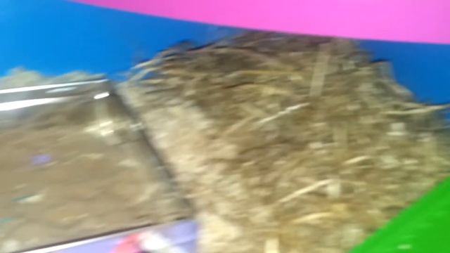 cookie monsters cage tour смотреть онлайн